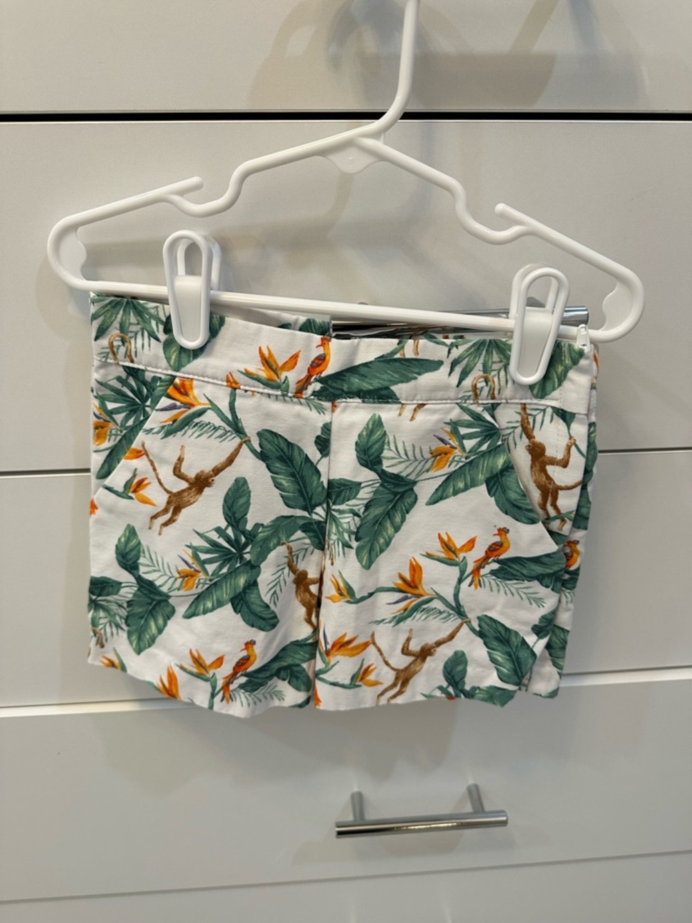 Janie and Jack Girls Shorts Size 5